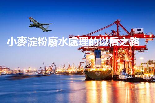 小麥淀粉廢水處理的以后之路：創(chuàng)新與可持續(xù)進展？